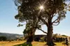 105 Townsends Road, Budgeree, Vic 3870-Image