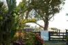 105 Townsends Road, Budgeree, Vic 3870-Image