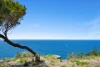 105 Whale Beach Road, Whale Beach, NSW 2107-Image