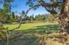 1051 West Calder Road, Takone, Tas 7325-Image