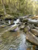 1051 West Calder Road, Takone, Tas 7325-Image