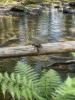 1051 West Calder Road, Takone, Tas 7325-Image