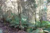 1051 West Calder Road, Takone, Tas 7325-Image