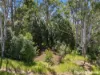 1055 Pomona Kin Kin Road, Kin Kin, Qld 4571-Image