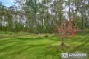 1057 Lansdowne Road, Melinga, NSW 2430-Image