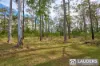 1057 Lansdowne Road, Melinga, NSW 2430-Image