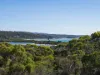 106 Main Road, Binalong Bay, Tas 7216-Image