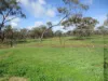 106 Mitchell Street, Cunderdin, WA 6407-Image