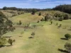 106 Peppertree Grove, Talarm, NSW 2447-Image