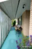 106 Short Street, Inverell, NSW 2360-Image