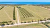 106 Stanley Williams Road, Streaky Bay, SA 5680-Image