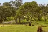 1068 Sandy Creek Road, Sandy Creek, Qld 4515-Image