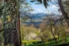 107 Alton Road, Mount Macedon, Vic 3441-Image