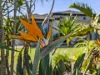 107 Cosmos Avenue, Banksia Beach, Qld 4507-Image