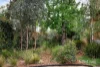 107 Delta Road, Greensborough, Vic 3088-Image