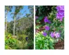 107 Garside Road, Mollymook Beach, NSW 2539-Image