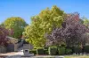 107 Jim Pike Avenue, Gordon, ACT 2906