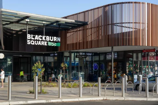107 Lake Road, Blackburn VIC 3130-Image