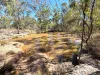 107 Lawson Road, Ballogie, Qld 4610-Image