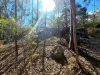 107 Lawson Road, Ballogie, Qld 4610-Image