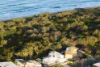 107 Oceanic Drive, Warana, Qld 4575-Image