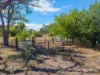 1079 Boorolong Road, Armidale, NSW 2350-Image