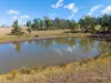 1079 Boorolong Road, Armidale, NSW 2350-Image
