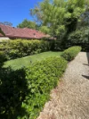 107a Bannockburn Road, Turramurra, NSW 2074-Image