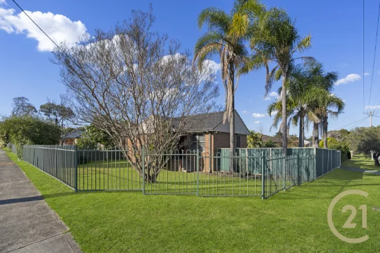 108 Banks Road, Miller, NSW 2168