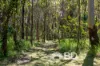 108 Coutts Drive, Burpengary, Qld 4505-Image