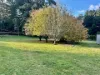 108 Mulcahys Road, Trentham, Vic 3458-Image