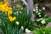 108 Strickland Avenue, South Hobart, Tas 7004-Image