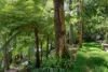 108 Wallumatta Road, Newport, NSW 2106-Image