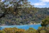 108 Wallumatta Road, Newport, NSW 2106-Image