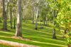 1082 Dayboro Road, Kurwongbah, Qld 4503-Image