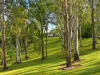 1082 Dayboro Road, Kurwongbah, Qld 4503-Image
