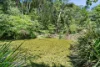 1085 Landsborough Maleny Road, Maleny, Qld 4552-Image