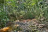 1085 Landsborough Maleny Road, Maleny, Qld 4552-Image