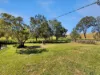 1088 Summerland Way, Kyogle, NSW 2474-Image
