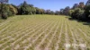 109-123 Lucas Drive, Lamb Island, Qld 4184-Image