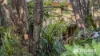109-123 Lucas Drive, Lamb Island, Qld 4184-Image