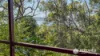 109-123 Lucas Drive, Lamb Island, Qld 4184-Image