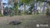 109-123 Lucas Drive, Lamb Island, Qld 4184-Image