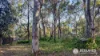 109-123 Lucas Drive, Lamb Island, Qld 4184-Image