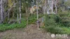 109-123 Lucas Drive, Lamb Island, Qld 4184-Image