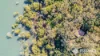 109-123 Lucas Drive, Lamb Island, Qld 4184-Image