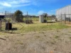 109 Almond Road, Leeton, NSW 2705-Image