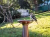 109 Cuprona Road, Heybridge, Tas 7316-Image