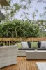 109 Foote Street, Templestowe Lower, Vic 3107-Image