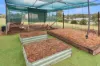 109 Ironbark Road, Muswellbrook, NSW 2333-Image